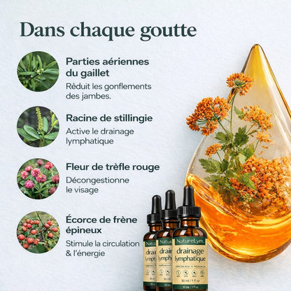 Drainage Lymphatique Naturel